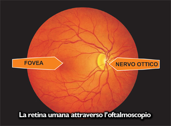 La retina umana attraverso l'oftalmoscopio